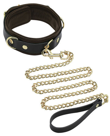 Spartacus Collar &amp; Leash - Brown Leather w/Gold Accent Hardware